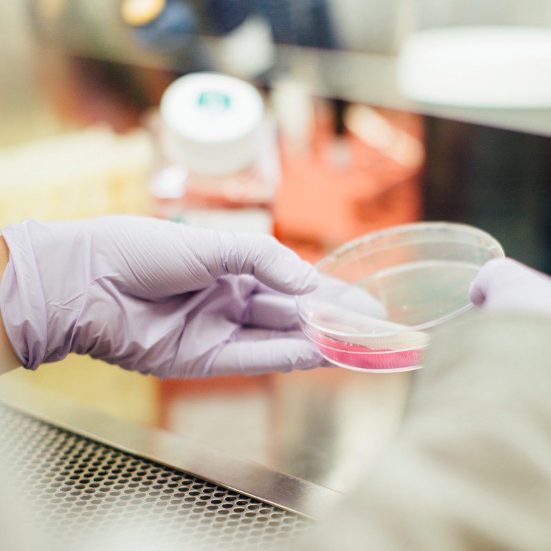 Mosa Meat eliminates fetal bovine serum from the cultivated meat equation