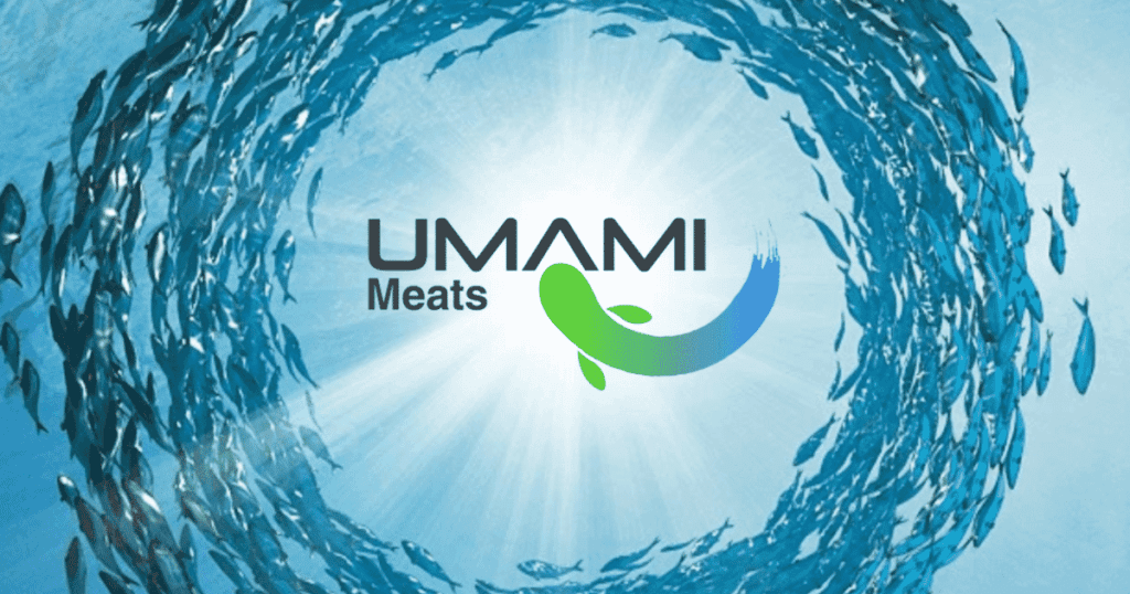 Umami