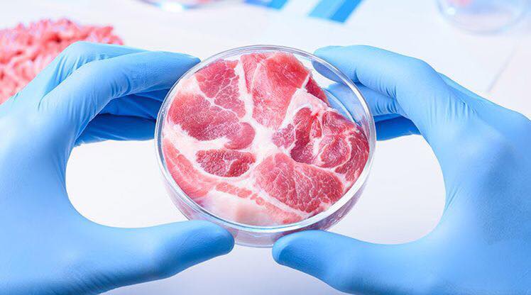 Lab-grown meat