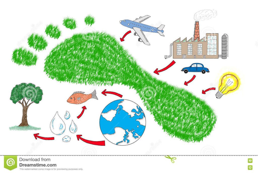 World Environment Day: Eating plant-based meat is safer than regular meat, here’s why carbon footprint concept white background drawn 78372653