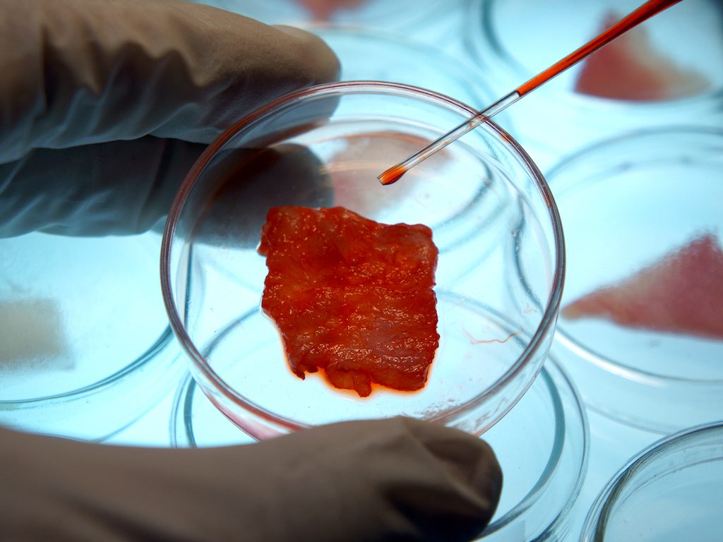 The Facts About Lab-Grown Meat South Korean Startup CellMEAT Raises US4.5M To Scale Lower Cultured Meat Production Costs 1 1