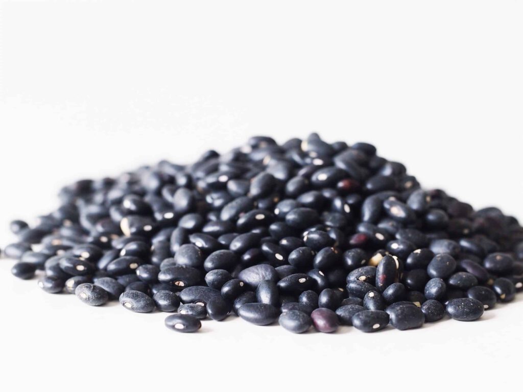 PROTEIN LEVEL IN BEANS: WHICH BEANS ARE BEST? Black Beans edited scaled 1