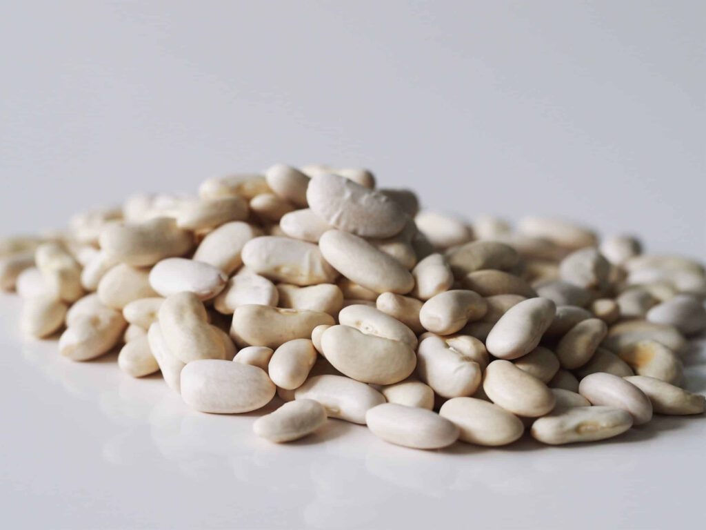 PROTEIN LEVEL IN BEANS: WHICH BEANS ARE BEST? Cannellini Beans scaled 1