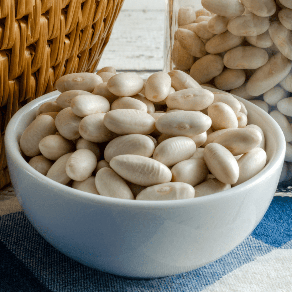 PROTEIN LEVEL IN BEANS: WHICH BEANS ARE BEST? VegNews.AreBeansHealthy.Canva1