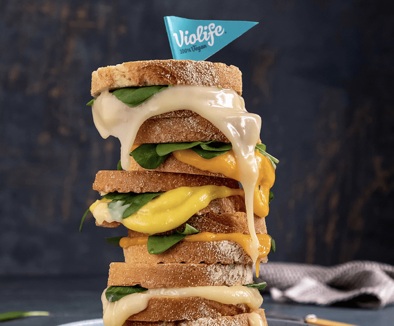 THE 15 BEST VEGAN CHEESE BRANDS THEY'RE DOING DAIRY BETTER THAN DAIRY VegNews.VioLife