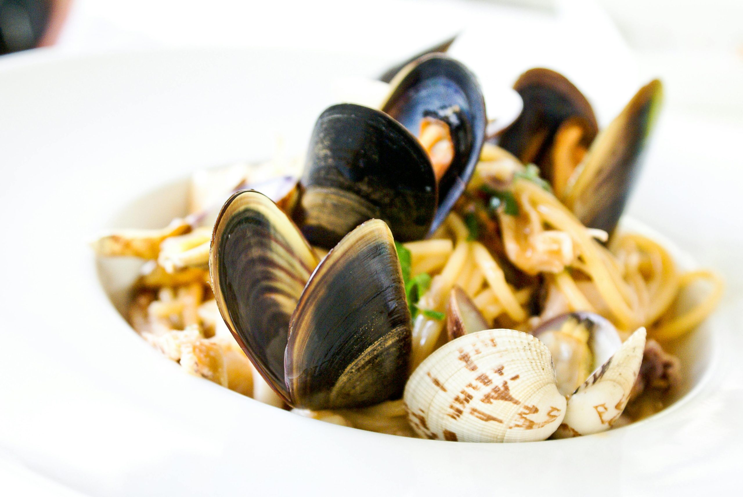 Aqua Cultured Foods can produce alternative seafood with low capex, even at pilot scale. pexels puntoitalia 921374 scaled