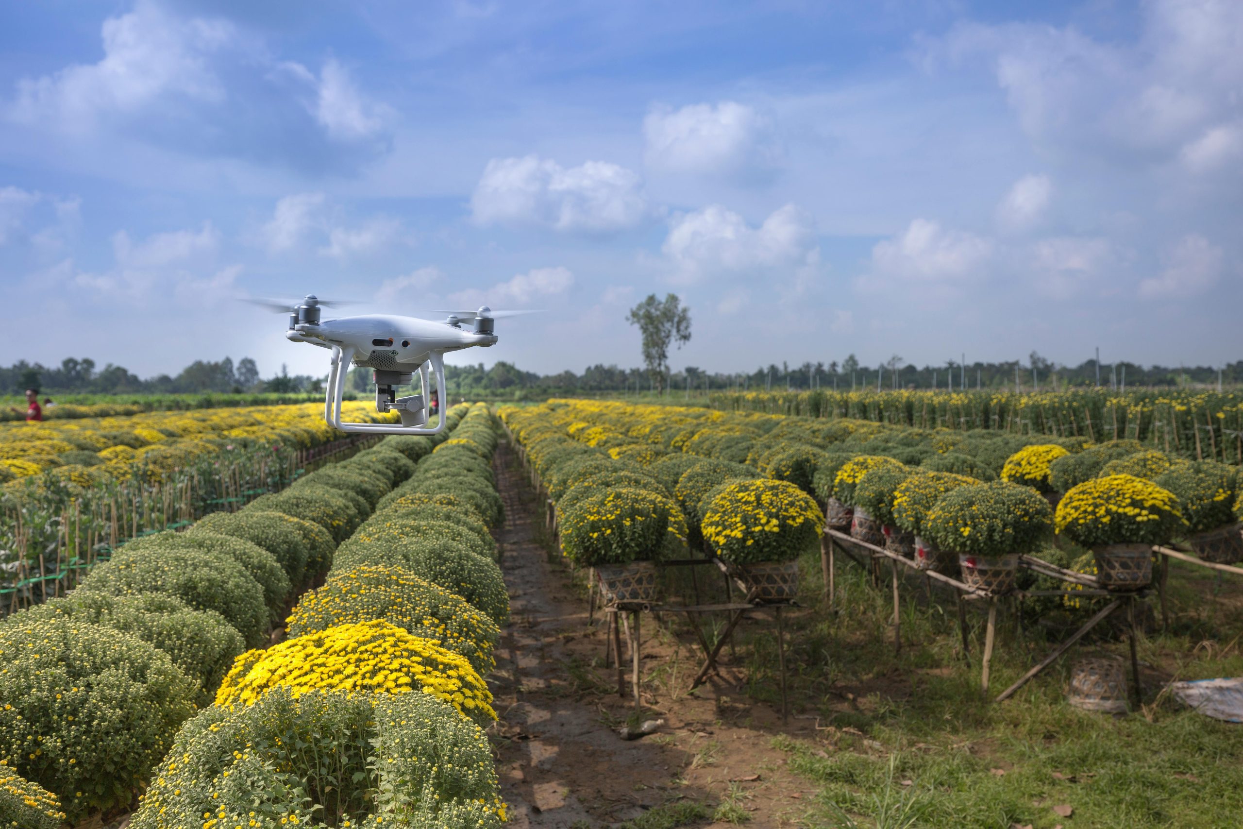 Agri-Food Tech Expo Asia returns in November 2024 to champion innovative, sustainable, and secure food systems pexels quang nguyen vinh 222549 2132171 scaled