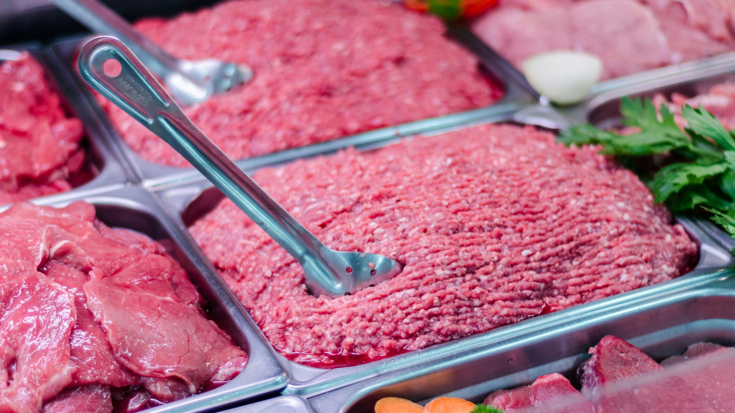 Does lab-grown meat provide us with the protein we need? pexels luis kuthe 3099301 18973339 scaled