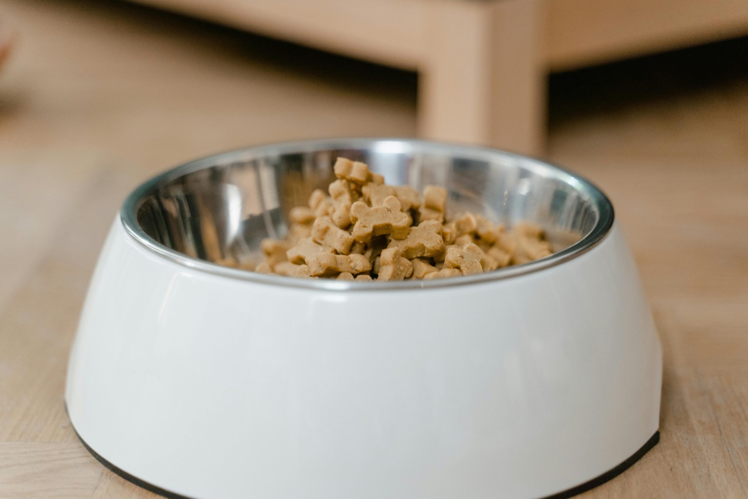 Modern Plant-Based Foods acquires AnimalKind to enter the pet food market pexels mart production 8434633 1 scaled