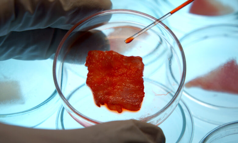 Lab-grown Meat or Cultured Meat-Futurism Concept