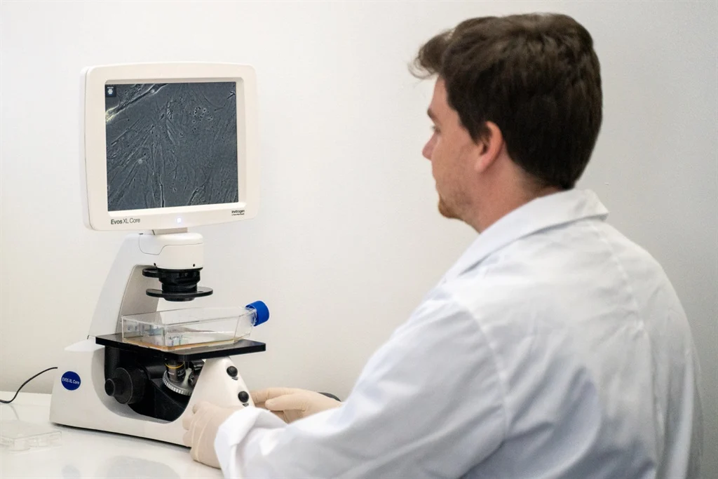 Ocean microbes could be key to animal-free meat