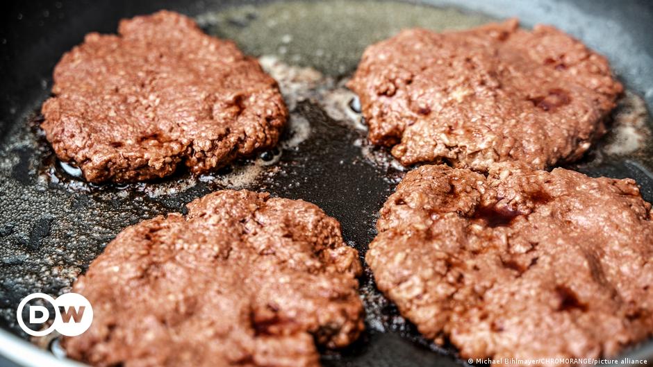 Eating meat substitutes could save forests and reduce CO2 emissions Eating meat substitutes could save forests and reduce CO2 emissions