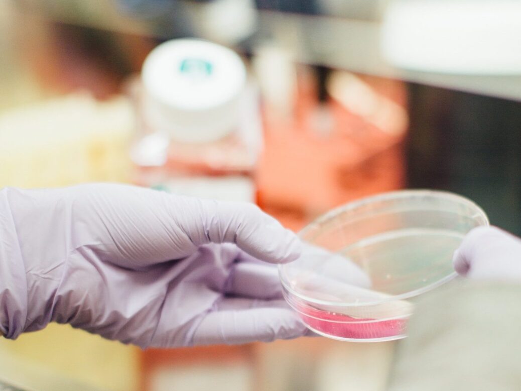 Maple Leaf Foods leads seed round in cell-protein start-up Evolved Meats