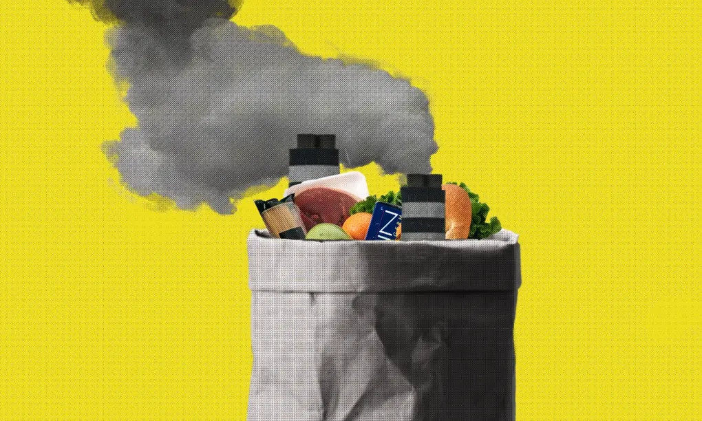 Climate-friendly diets can make a huge difference – even if you don’t go all-out vegan