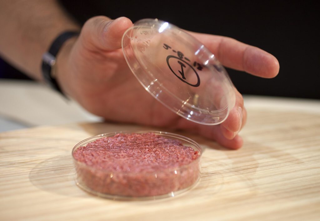 Impossible Foods Founder Pat Brown: ‘Cultured Meat Is Never Going To Be A Thing’ Mosa cultured beef 01 scaled 1