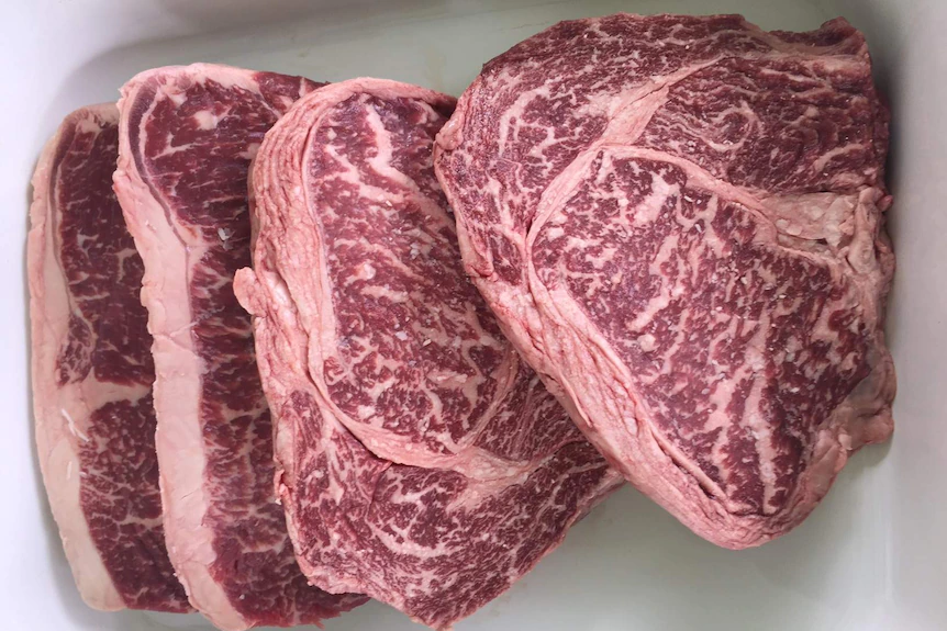 Biohong Group Launches the World’s First Stem Cell-based 3D Printing Artificial Meat, Creating a New Height for Both Stem Cell Engineering Meat and Plant-based Artificial Meat ec6324996a0abe004c537e59d5b0e4a9