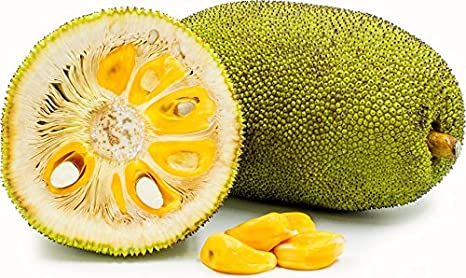 Here's what you need to know about jackfruit: Surprising benefits!