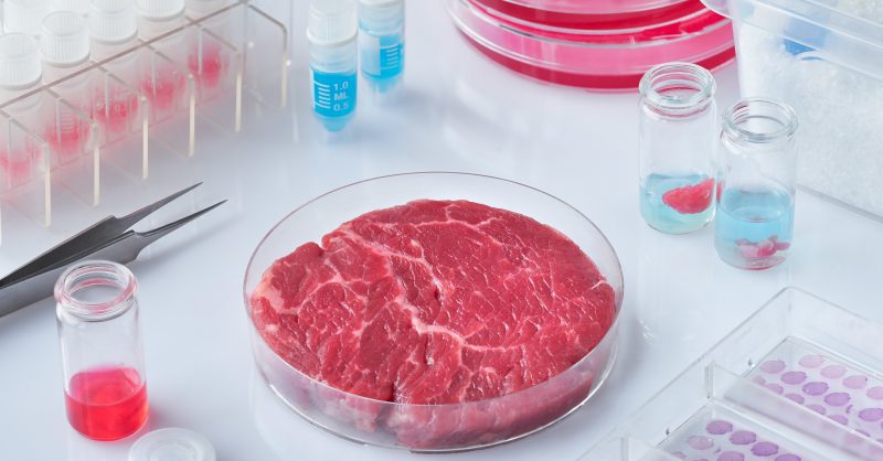 From Alpaca to Crocodile, This Startup is Serving Up the Next Big Thing in Lab-grown Meat