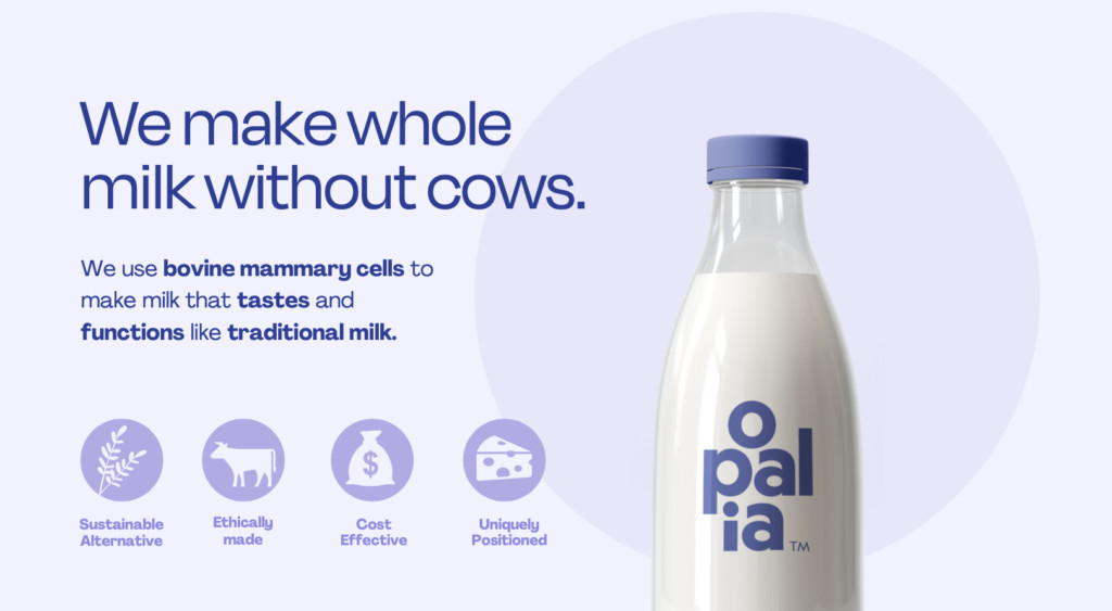 cell-based milk