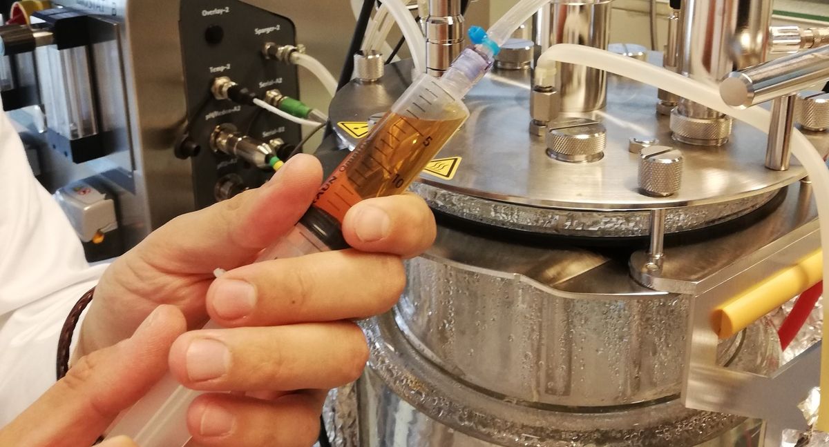 How Paleo is bringing mammoth meat to the public using biochemistry