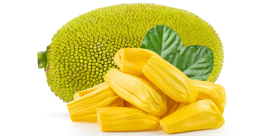 Here's what you need to know about jackfruit: Surprising benefits! Here’s what you need to know about jackfruit: Surprising benefits!