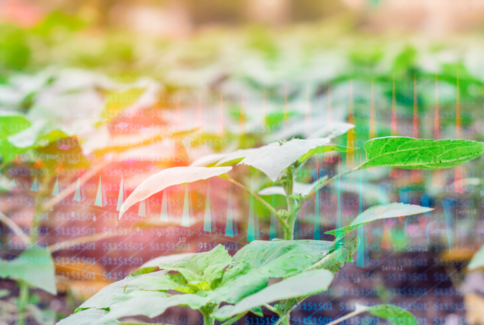 FOOD INVESTMENTS – THE BEST WAYS TO INVEST