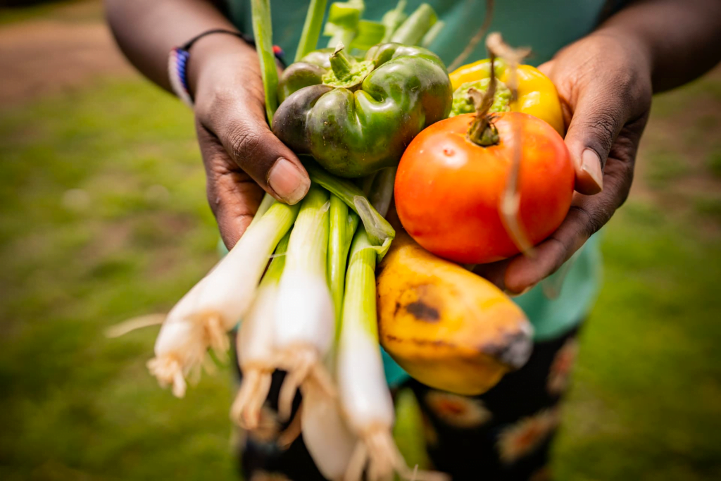 VEGAN FOOD BANK OPENS IN LOS ANGELES TO TACKLE FOOD INSECURITY image 1 1024x683 1