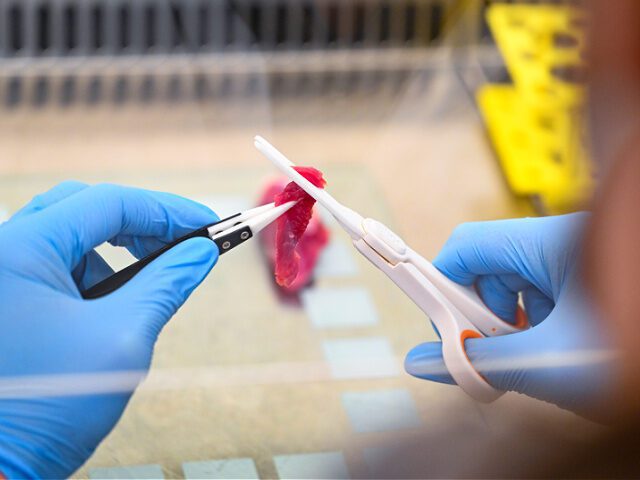 Harari says cultured meat is ‘much more ethical’ than factory-farmed meat