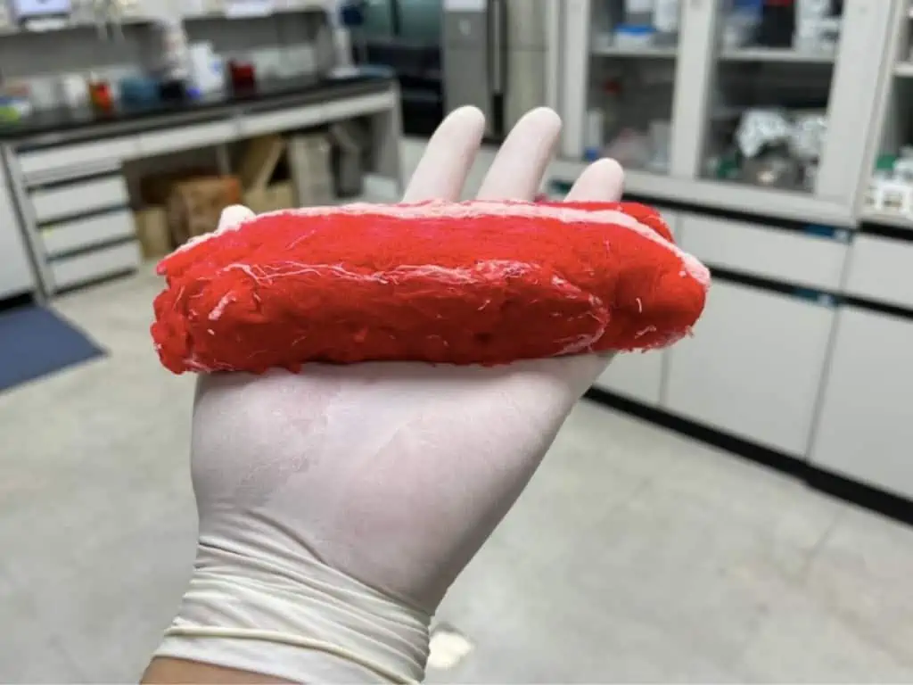 The Korean company TissenBio Farms raises $1.6 million for its alt meat with marbling