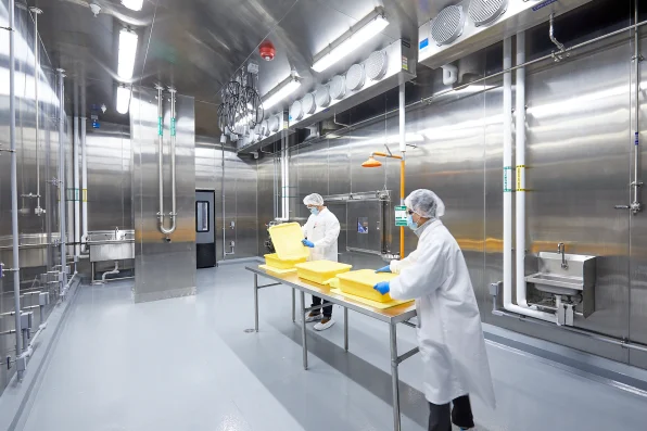 An inside look at the $25 billion cultivated meat market An inside look at the $25 billion cultivated meat market