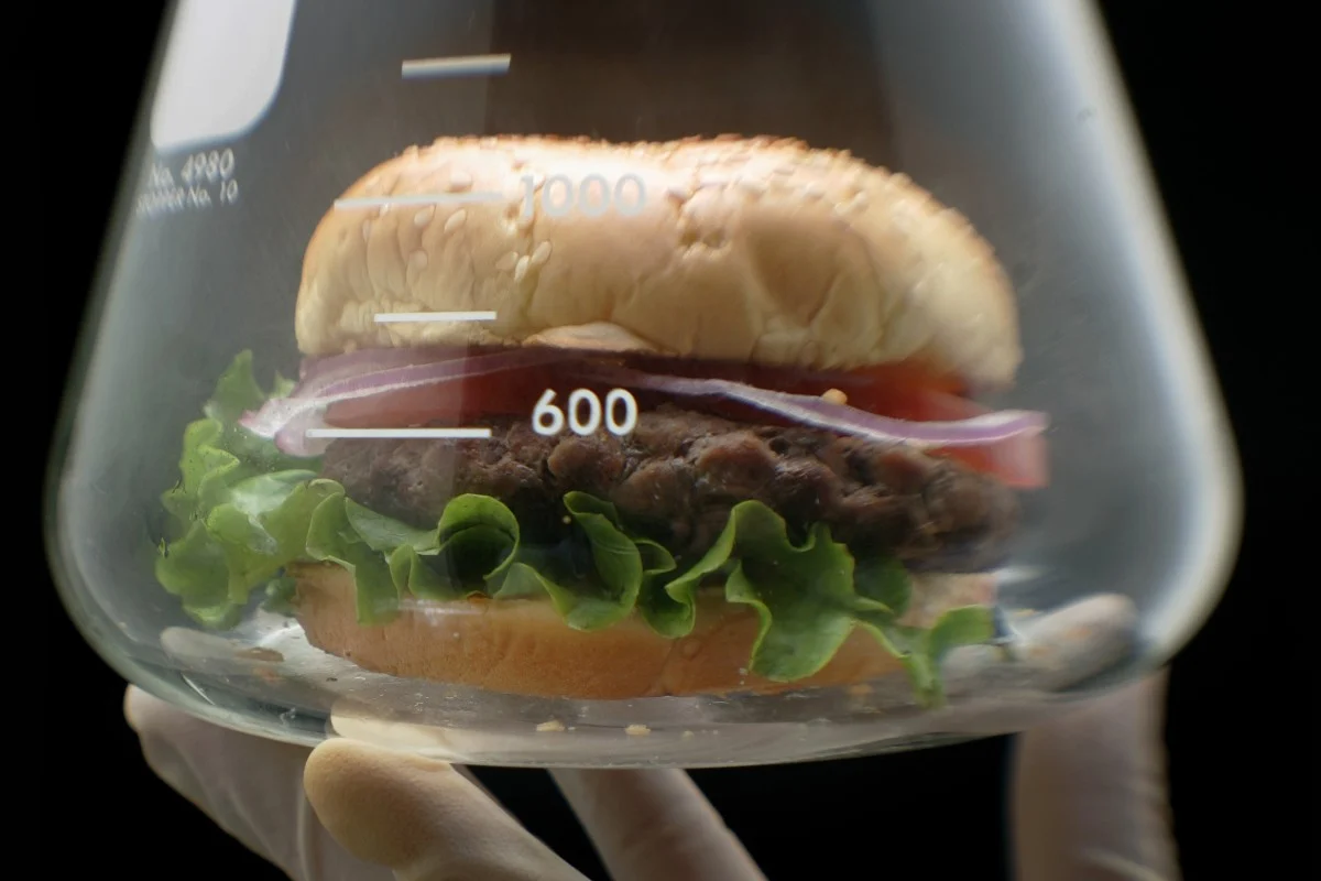 Lab-grown meat: All you need to know