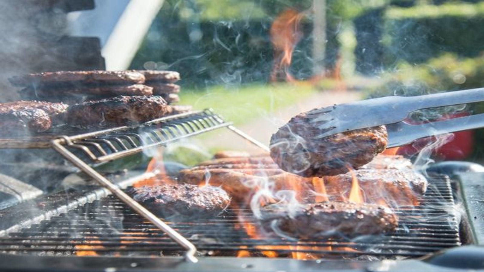 What You Need to Know About Cultivated Meat