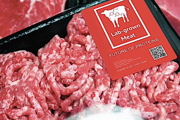 US officials approve artificial meat for the first time