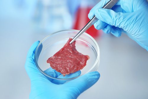 Cultured Meat 101: The Science and Premarket Process