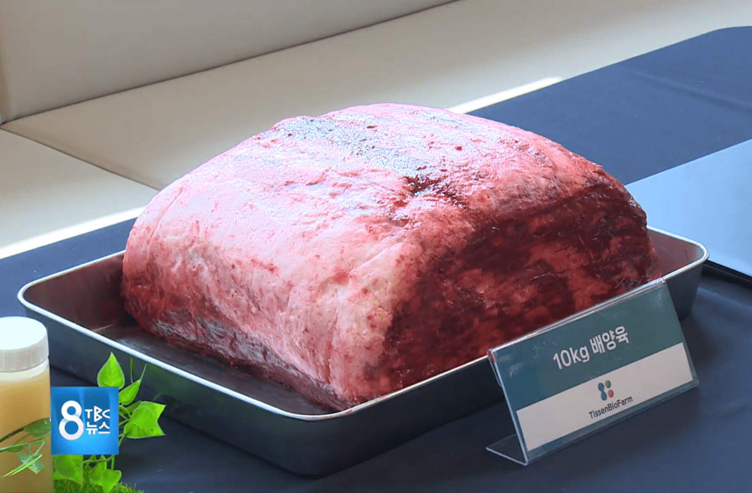 Presenting 10 kg Cultivated Meat Prototype from TissenBioFarm at South Korea’s First Cell Ag Hub