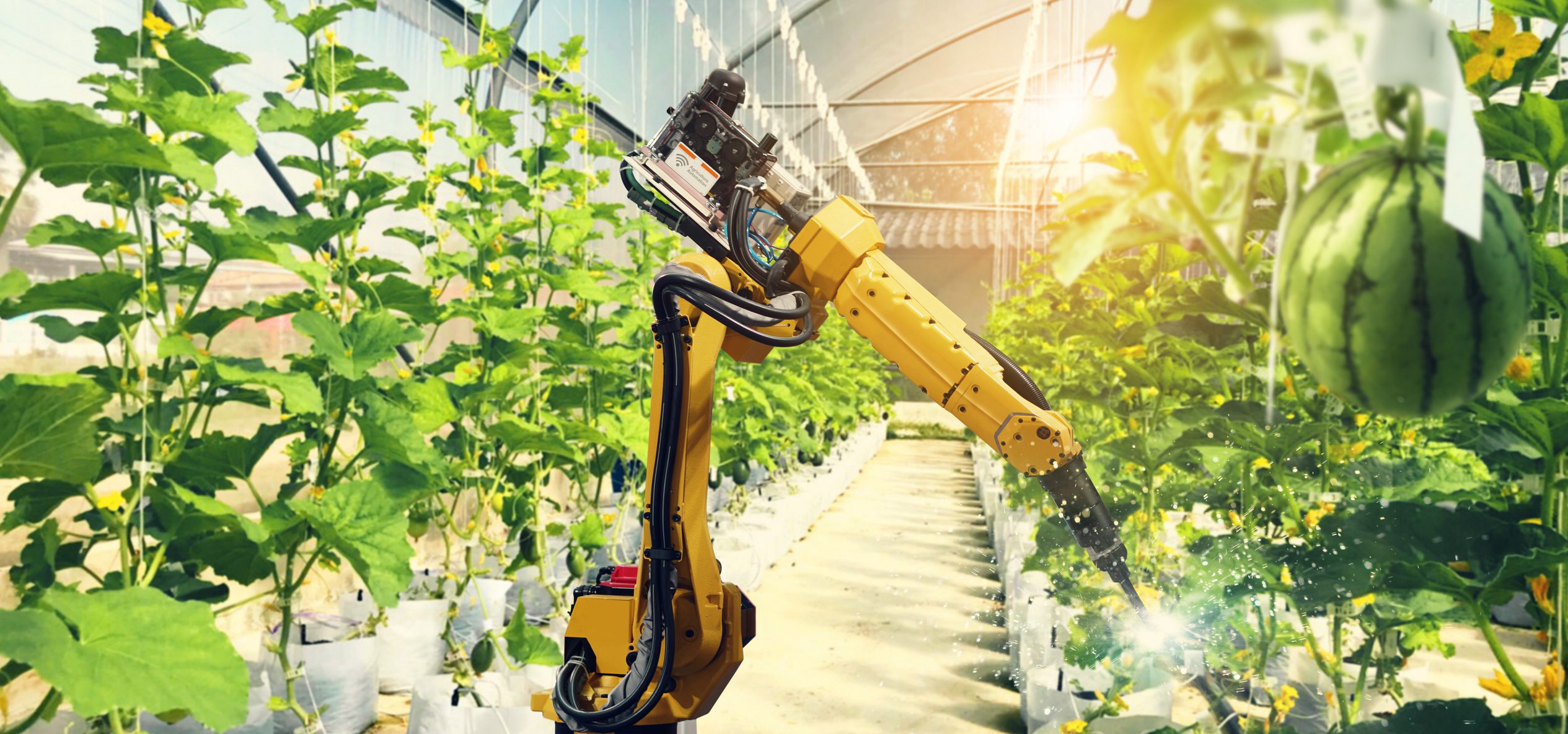 How can emerging technologies be used to make food production more sustainable?