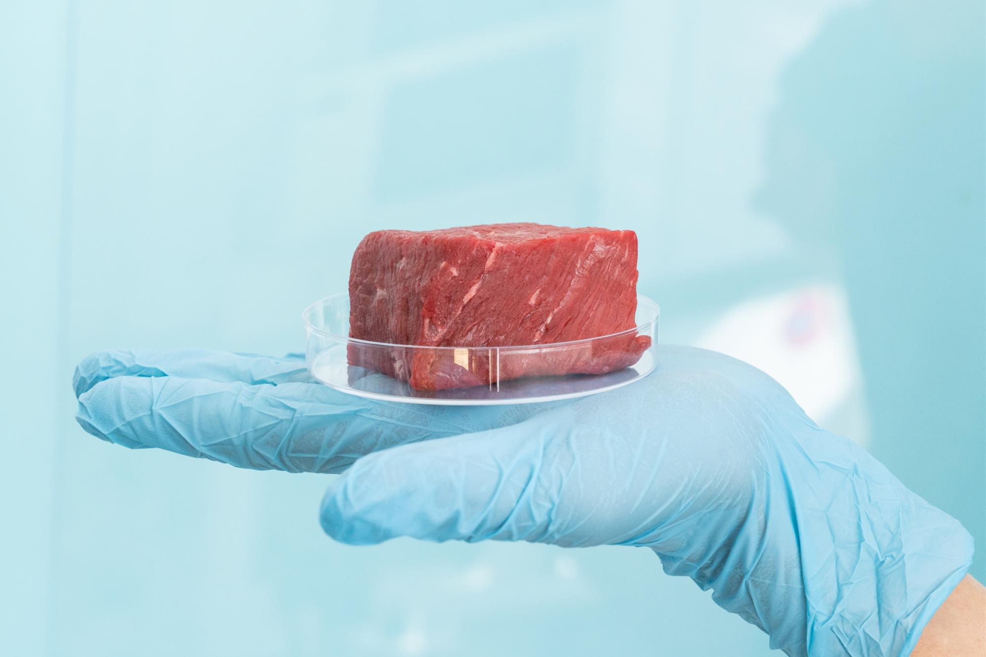 Italy’s government is considering prohibiting lab-grown meat.
