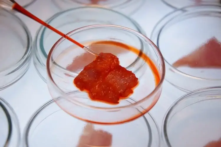 Cultivated meat holds potential. What’s preventing it from progressing?