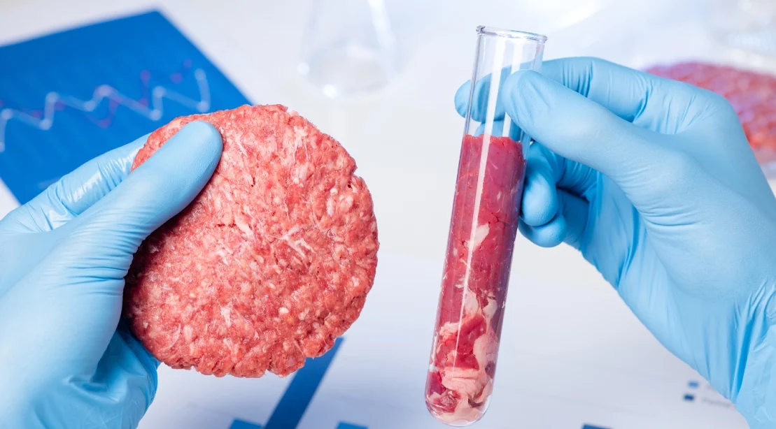 Lab grown meat: UK missing out on Brexit freedoms of humane meat market power