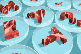 A Look Into the Conflict Between Large Agriculture and In-Vitro Meat