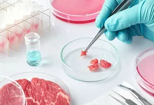 Malaysia has its sights set on lab-grown meat in order to lower agricultural emissions.
