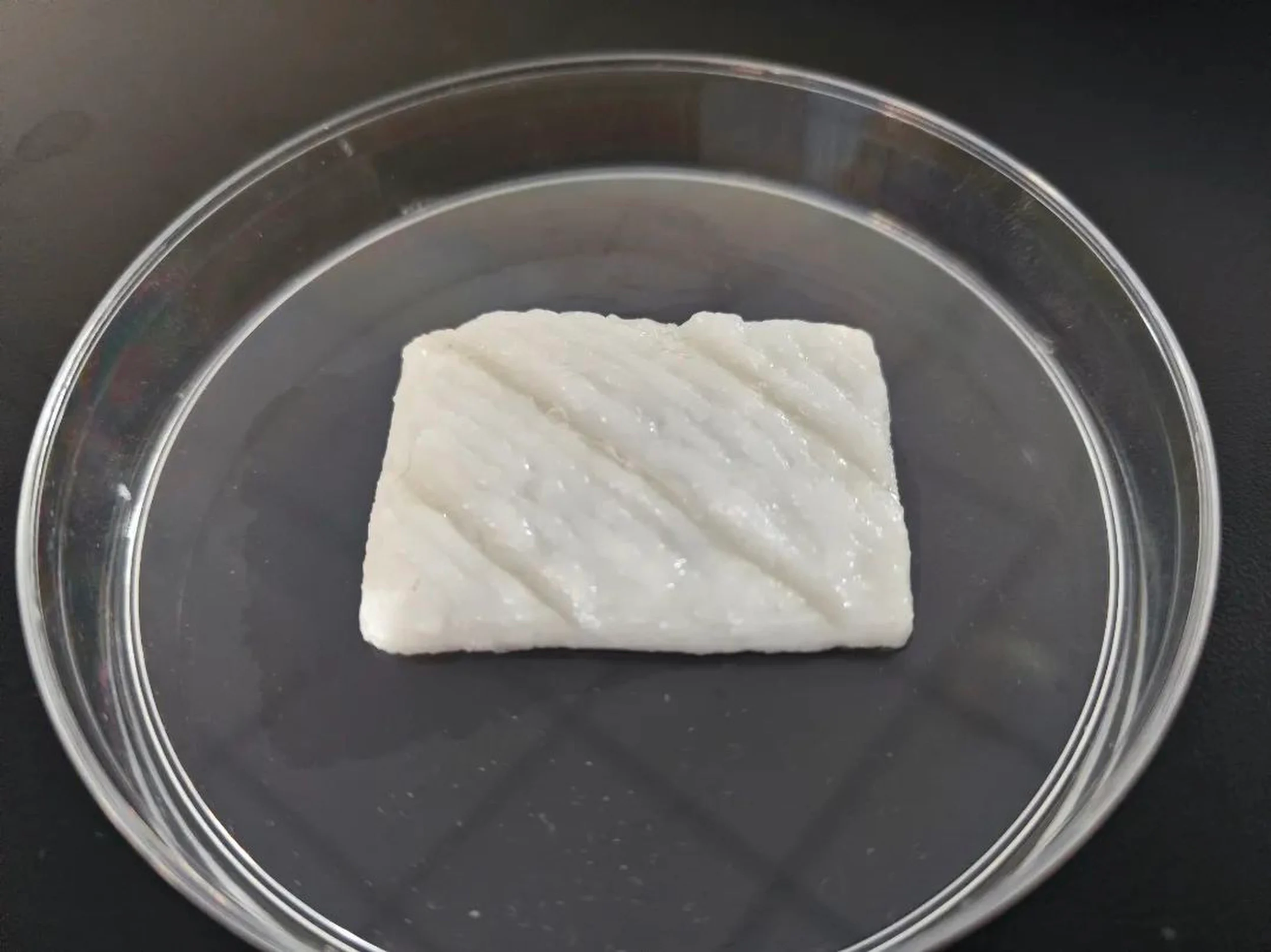 The future of food may be guided by the lab-grown fish fillets created by Chinese scientists.