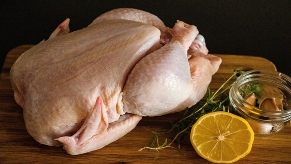 Cultured chicken cell material received FDA’s “No Questions” response letter: a milestone for the future of lab-grown meat