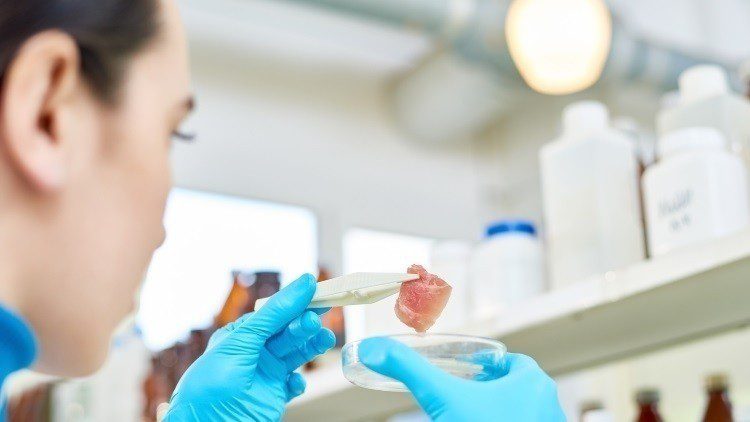 The GFI report outlines difficulties in obtaining cell lines for cultivated meat