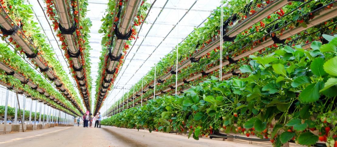 The global food system and 5 emerging technologies