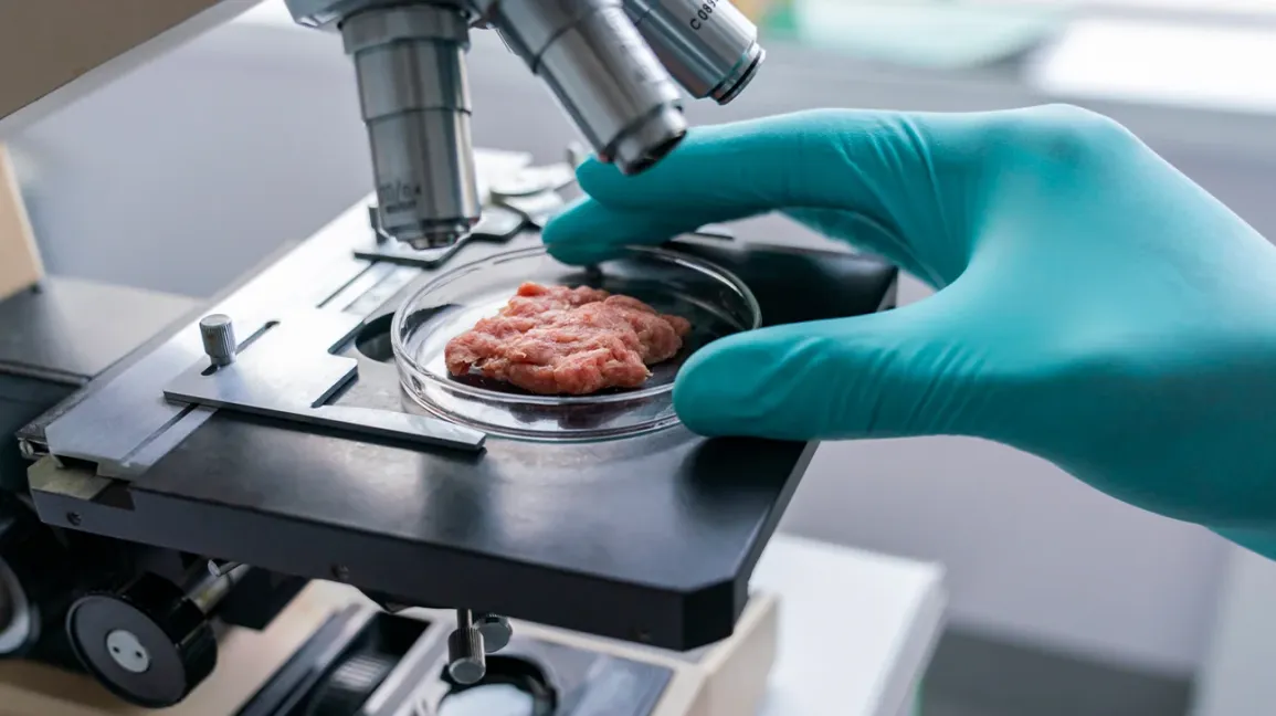 A new program intends to ensure the safety of lab-grown meat from contamination