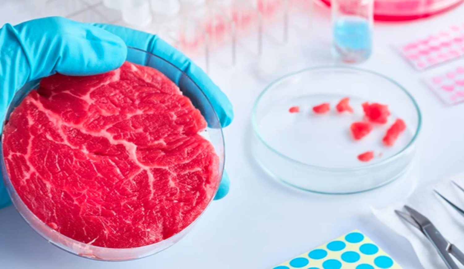 The following information outlines our understanding of the relationship between lab-grown meat and the impact it has on climate change