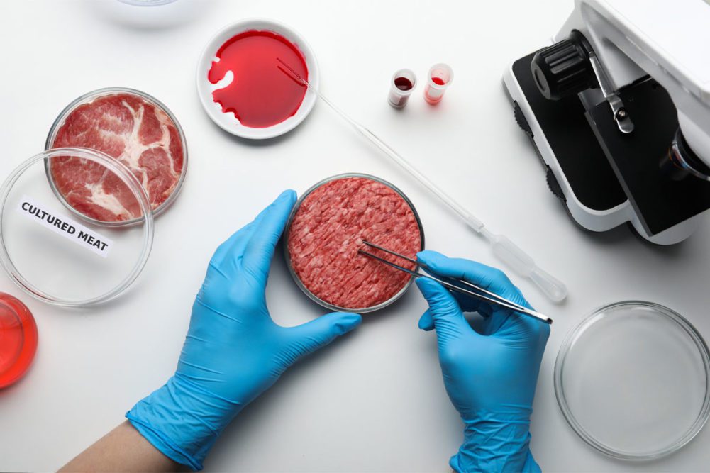 The cultivated meat industry is making significant strides and moving forward The cultivated meat industry is making significant strides and moving forward