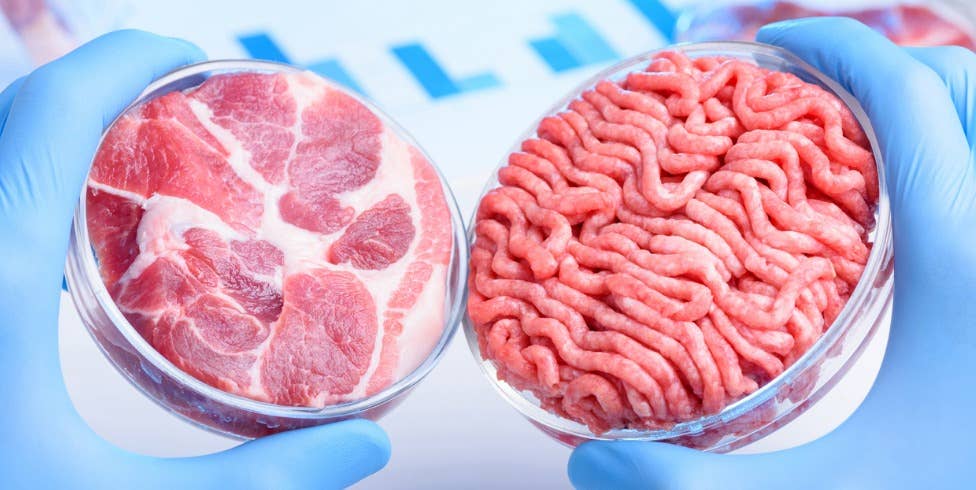 Can India’s rising food needs be fulfilled with lab-grown meat?