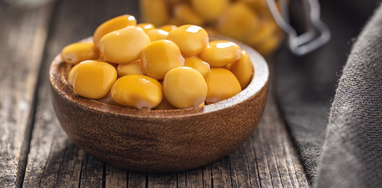 Is Lupin the Next Big Plant Protein? Newly Found Gene in Sweet Lupin Opens Doors for High-Protein Crops